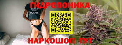 ECSTASY Заволжье