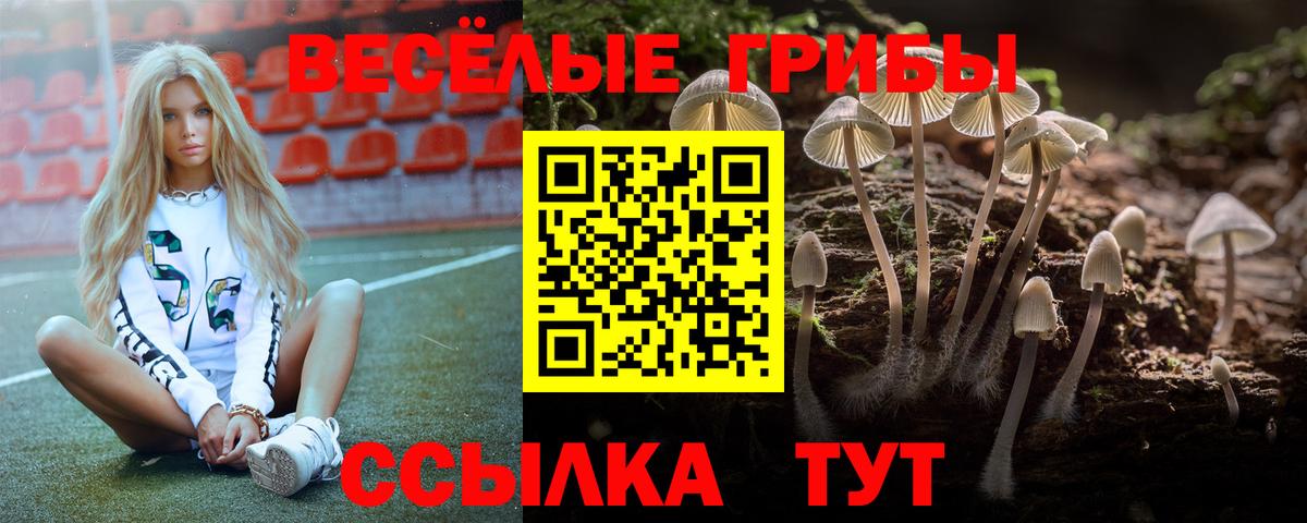 Галлюциногенные грибы MAGIC MUSHROOMS Майкоп