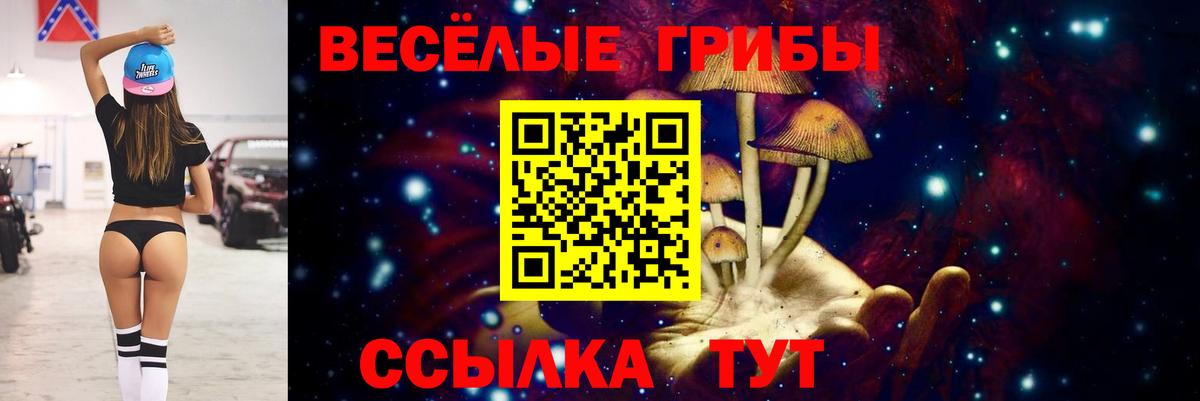 Майкоп  Псилоцибиновые грибы мухоморы  Вход с VPN 